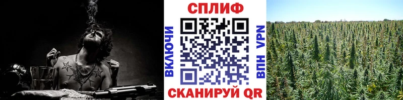 Бошки марихуана тримм shop телеграм Жиздра сколько стоит
